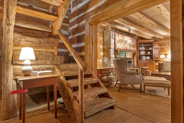 a view of a forest with a tree