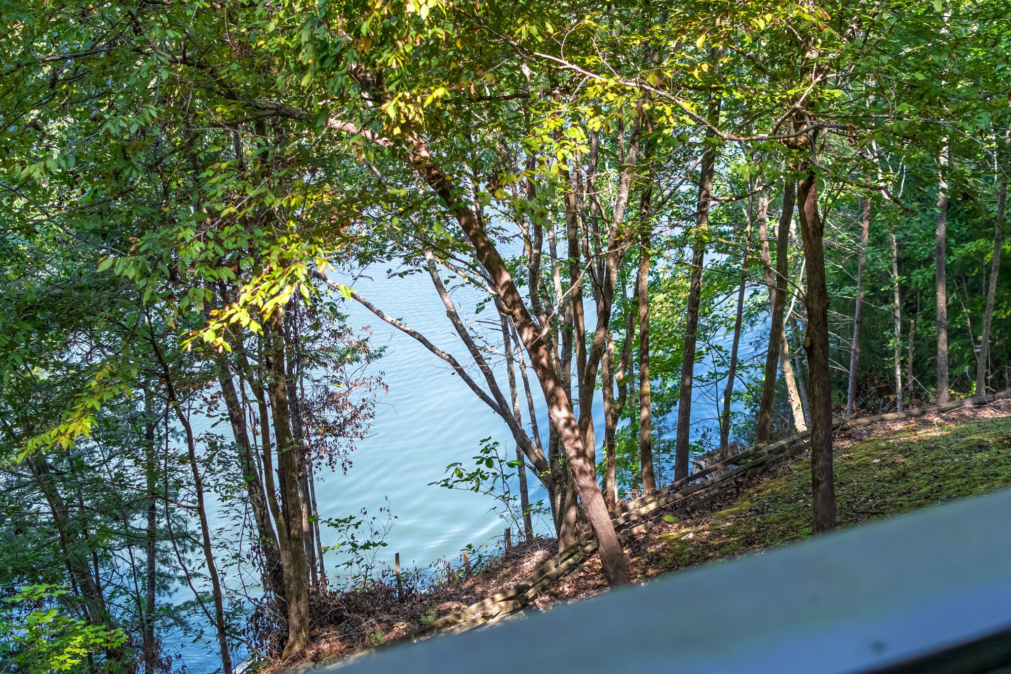 658 Moore Road Doyle, TN 38559 - Photo 68 of 92 a view of a yard with large trees