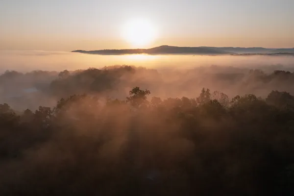 $2,950,000 | 658 Moore Road, Doyle, TN 38559