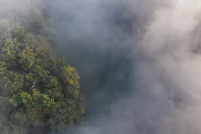 $3,495,000 | 658 Moore Road, Doyle, TN 38559