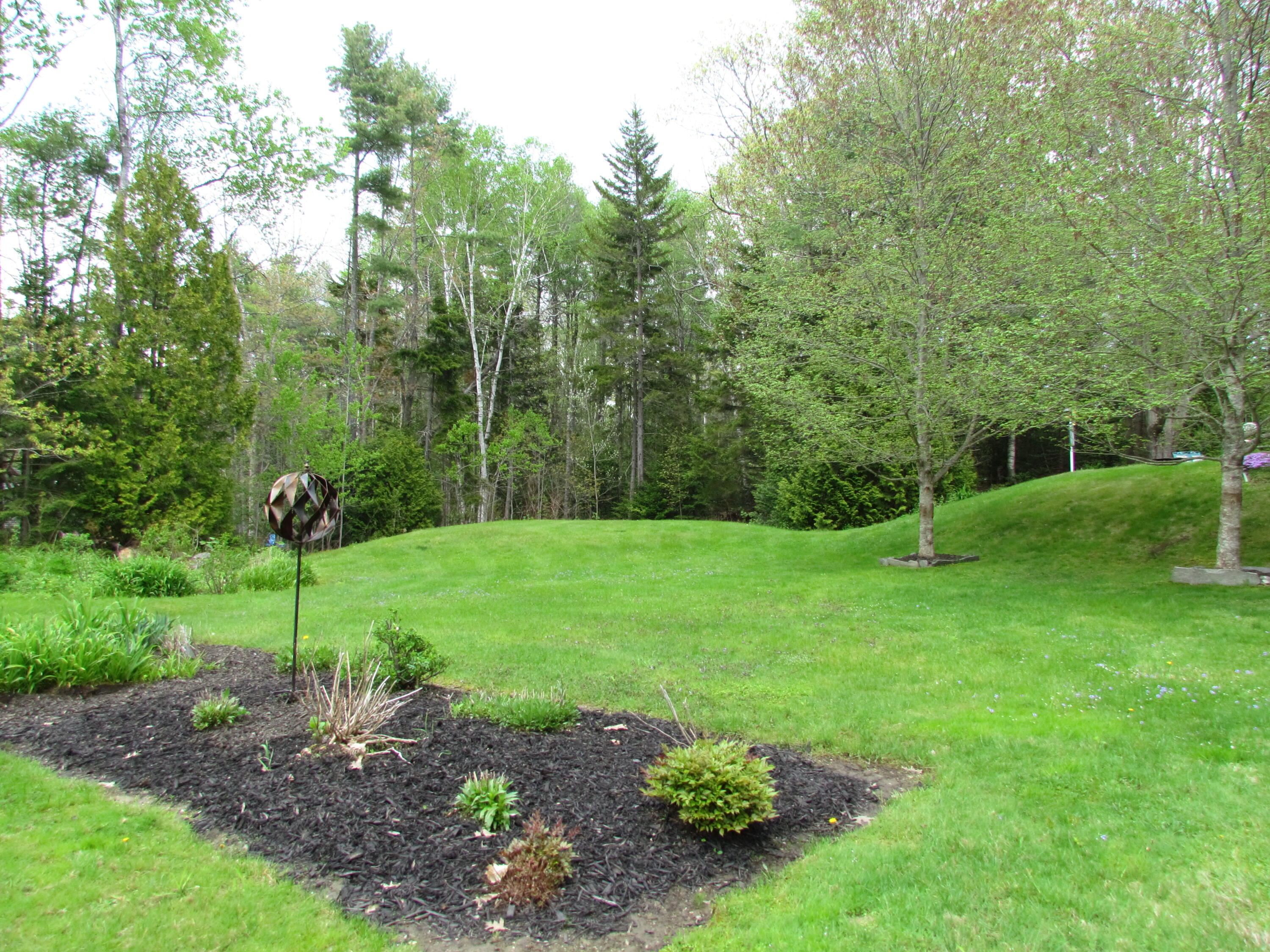 121 Brickyard Cove Road Harpswell, ME 04079 - Photo 16 of 54 Surround Nature