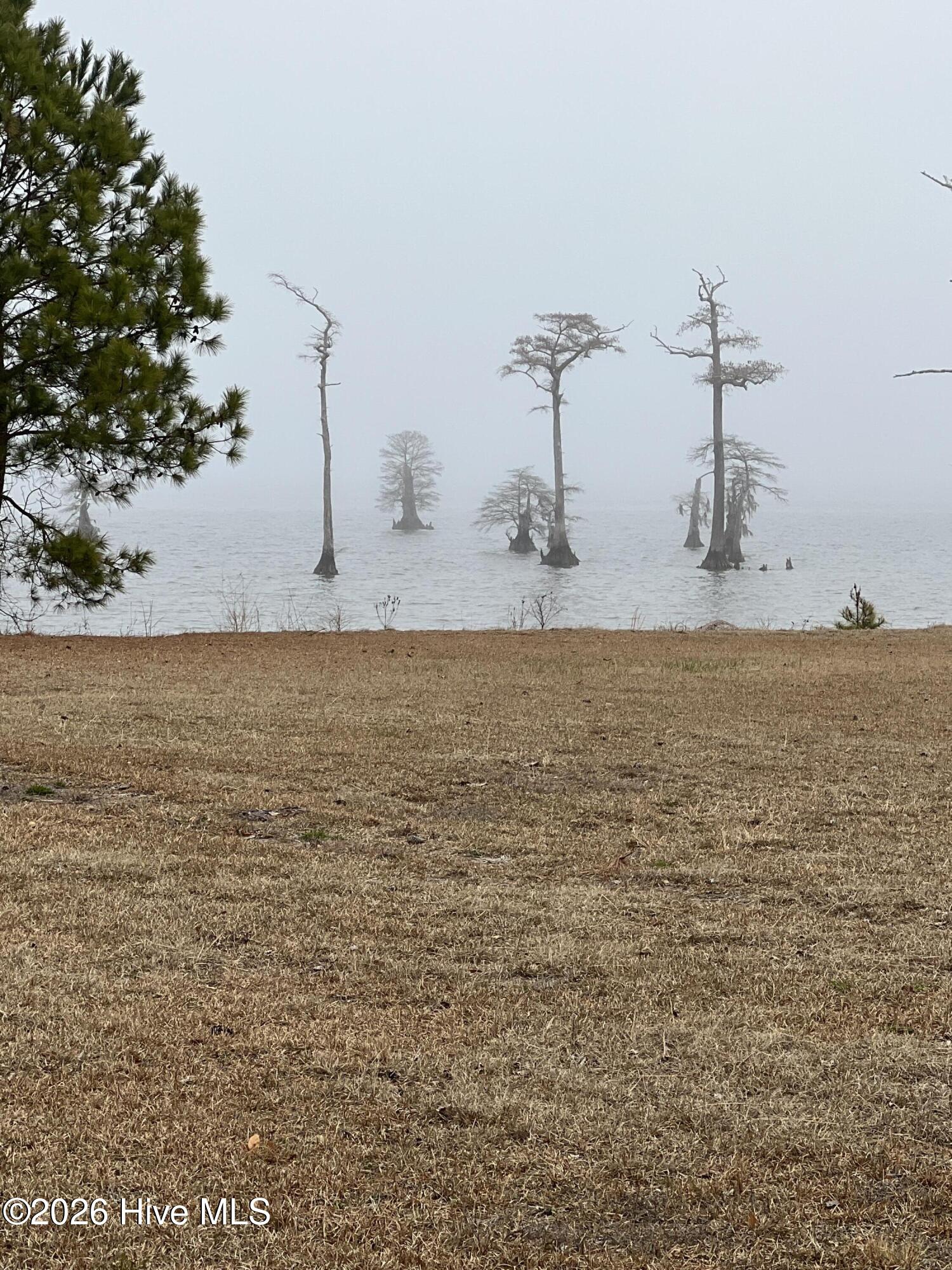 Lot #10 Mariners Drive Roper, NC 27970 - Photo 14 of 16 IMG_5505