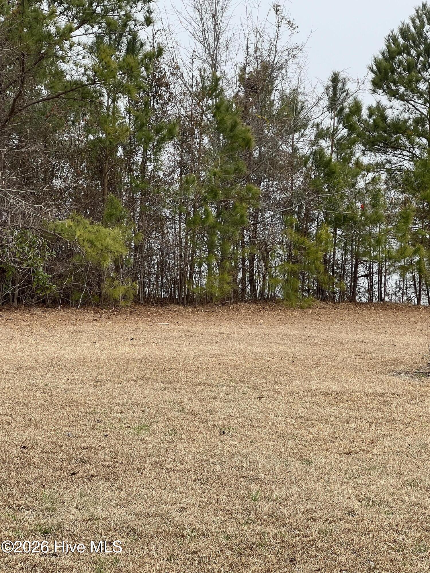 Lot #10 Mariners Drive Roper, NC 27970 - Photo 15 of 16 IMG_5506
