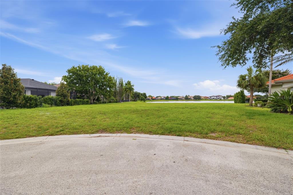 10341 Altrara Way Trinity, FL 34655 - Photo 28 of 29