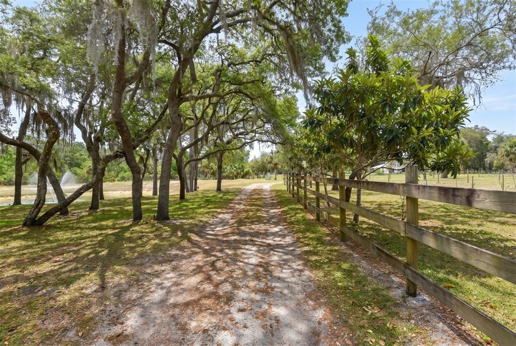 1851 Maytown Road Oak Hill, FL 32759 - Photo 50 of 56