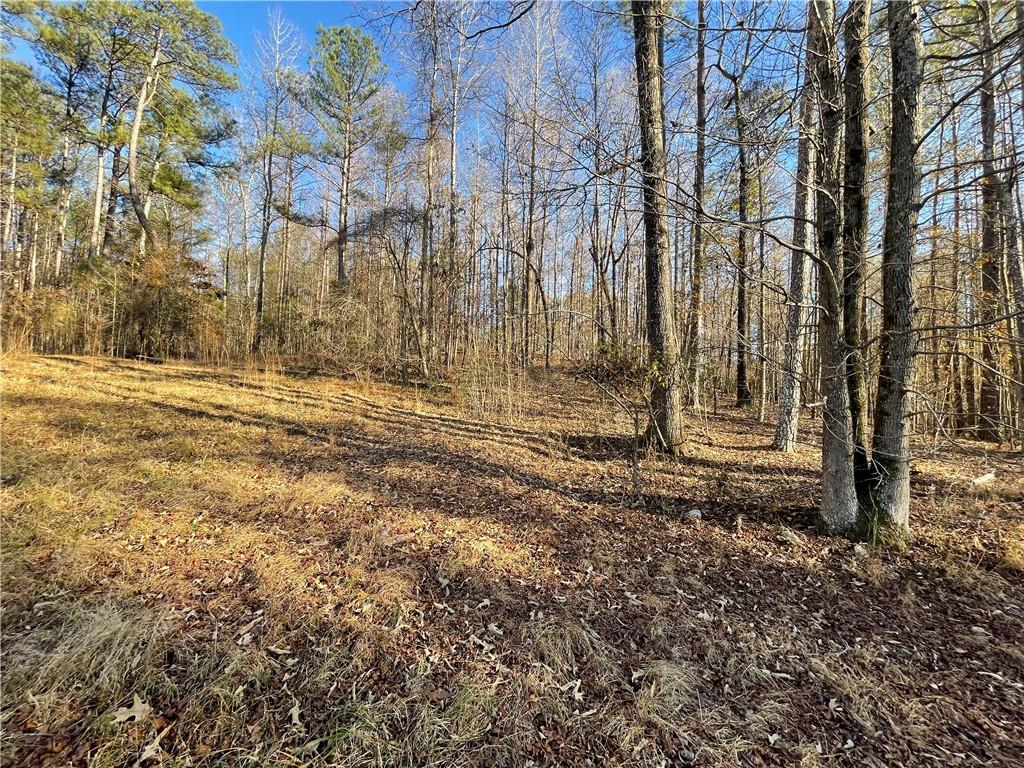 11820 Upper Wooten Road Palmetto, GA 30268 - Photo 11 of 12 a view of a backyard of the house