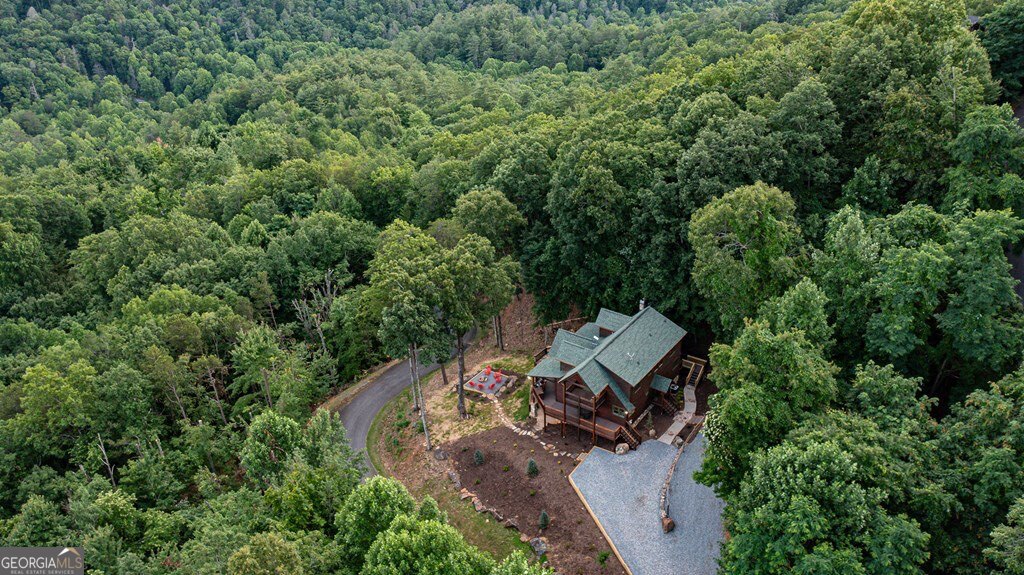 175 Cochise Road, Unit 19 Cherry Log, GA 30522 - Photo 60 of 89