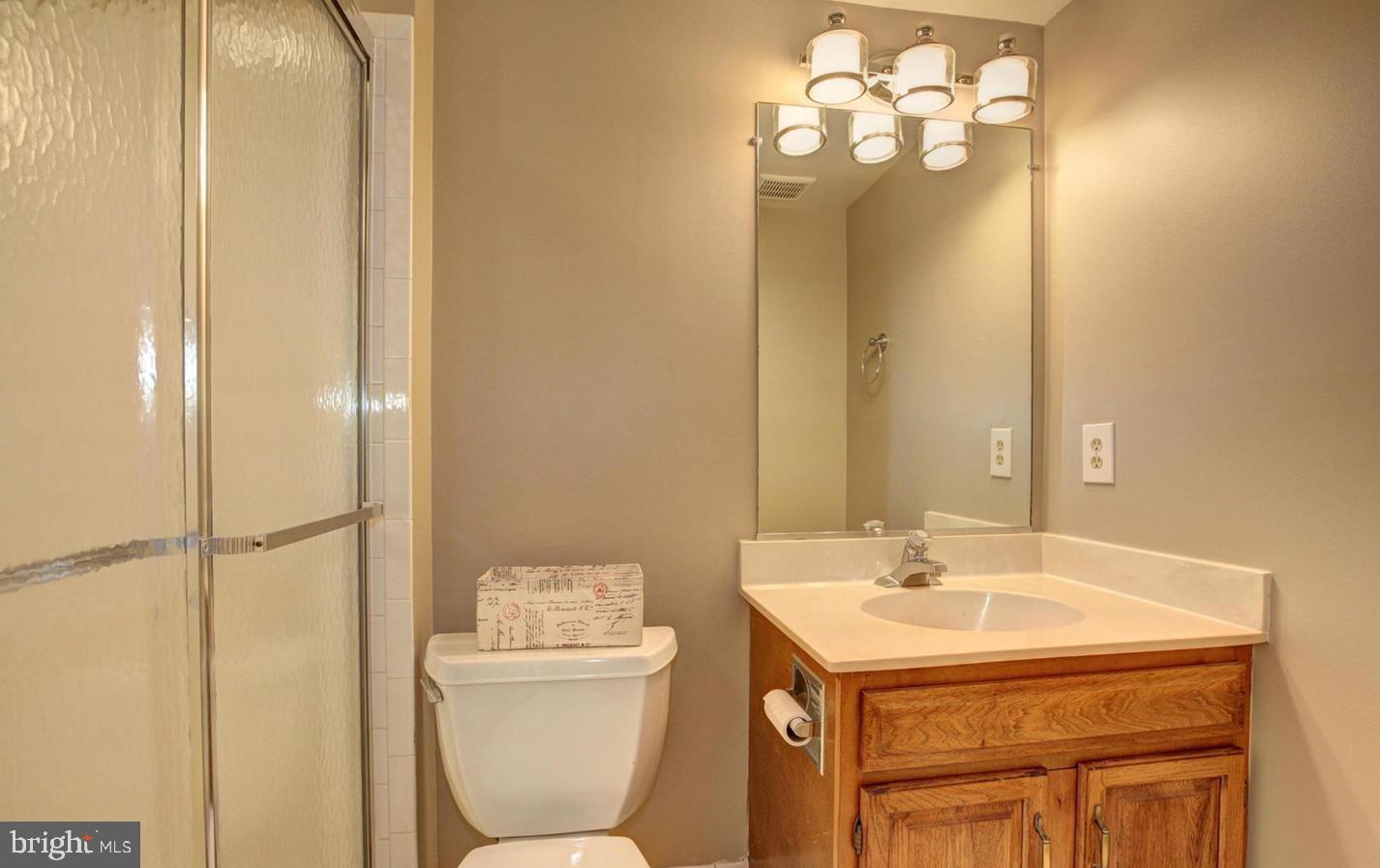 10922 Brewer House Road Rockville, MD 20852 - Photo 22 of 24 Lower Level Full Bath