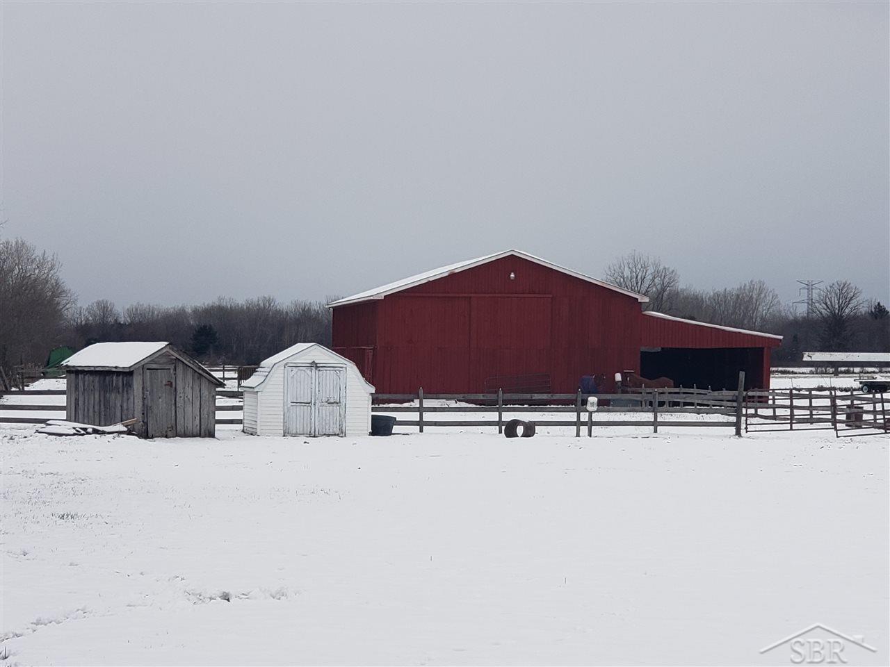 10016 Carter Road Freeland, MI 48623 - Photo 14 of 25 31365630-13.JPG
