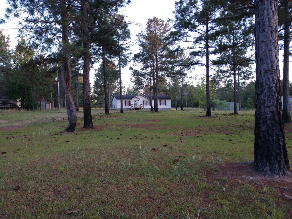 2044 Fort Perry Road Box Springs, GA 31801 - Photo 1 of 1 Main View