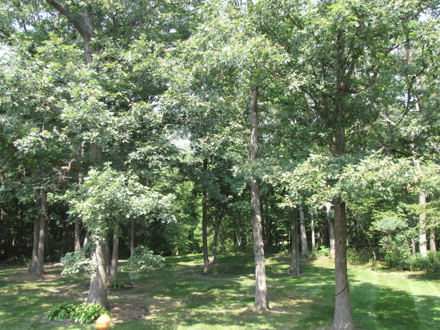2561 North 2879th Road Marseilles, IL 61341 - Photo 6 of 22