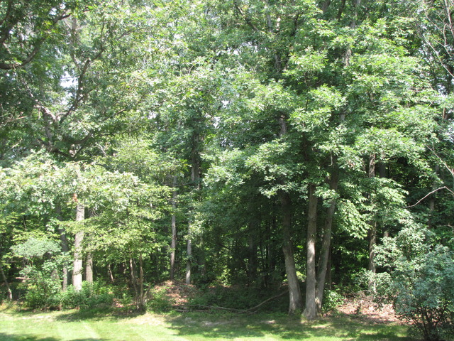 2561 North 2879th Road Marseilles, IL 61341 - Photo 8 of 22