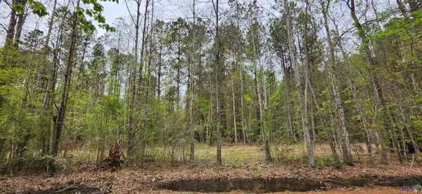 $147,500 | Lot C-1 Jessie Sibley Road, Walker, LA 70785