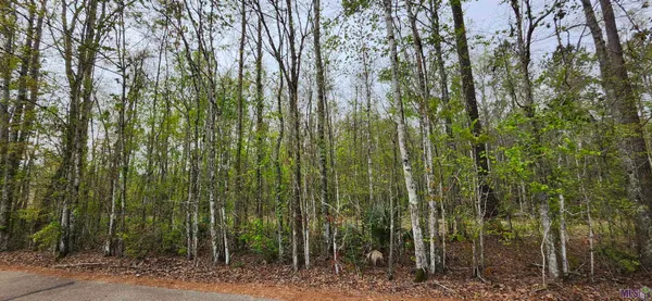 $147,500 | Lot C-1 Jessie Sibley Road, Walker, LA 70785