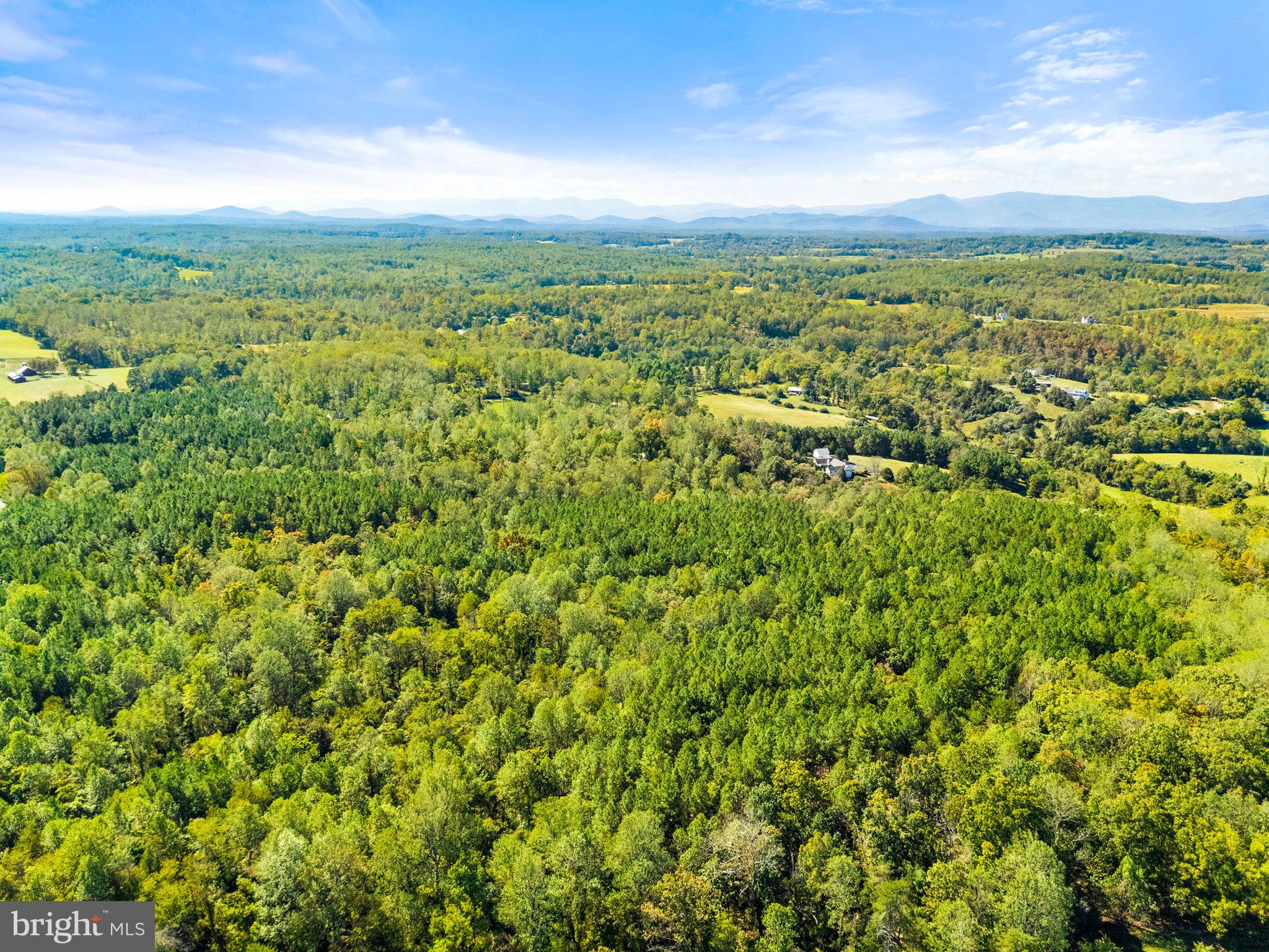 Olinger Road Marshall, VA 20115 - Photo 12 of 14 a view of a city with lush green forest