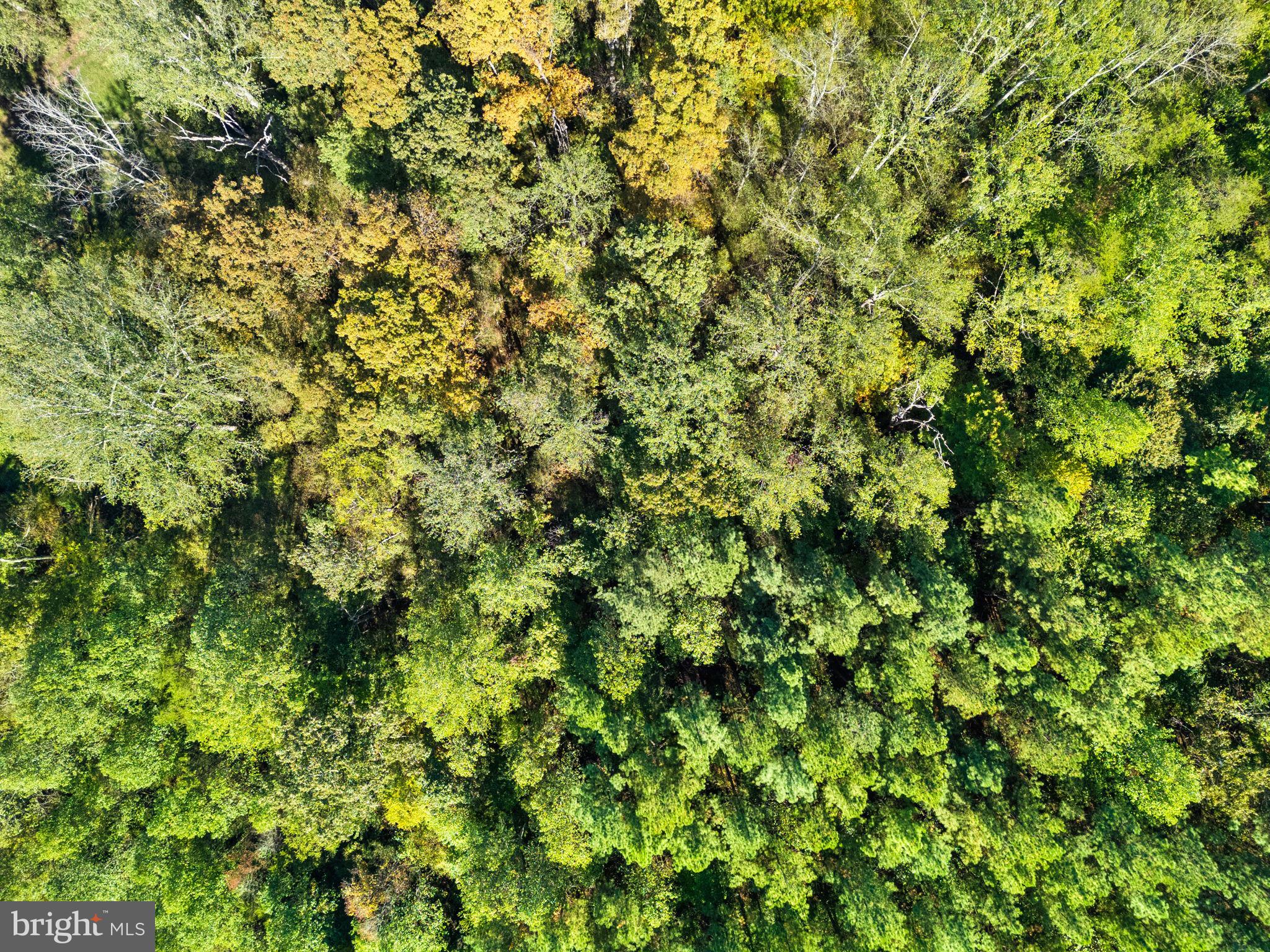 Olinger Road Marshall, VA 20115 - Photo 14 of 14 a view of a lush green field