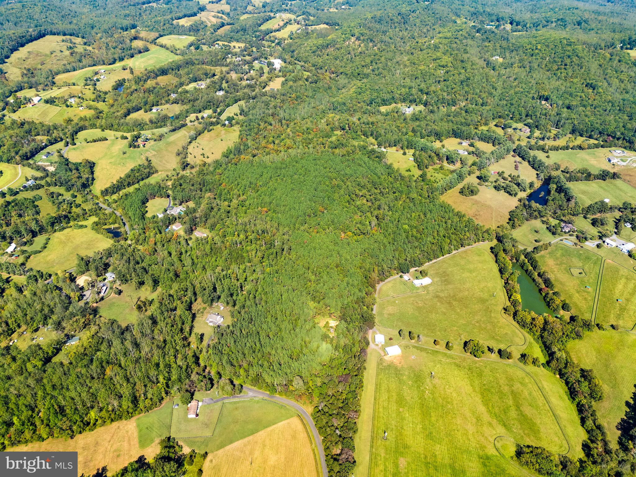 Olinger Road Marshall, VA 20115 - Photo 4 of 14