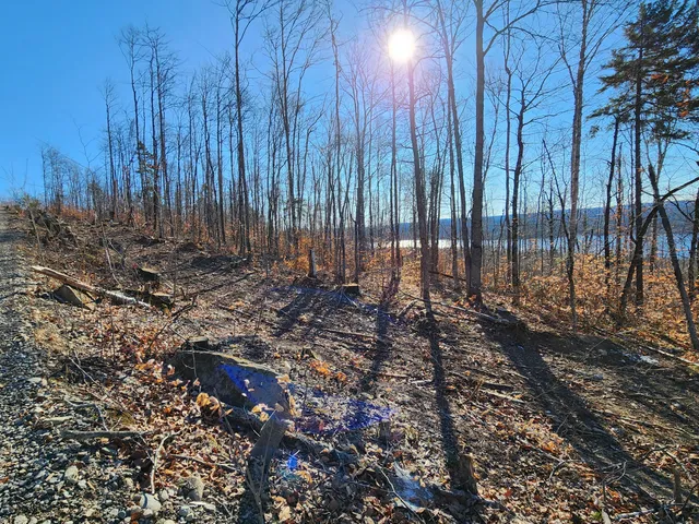 $45,000 | Lot A Dow Farm Road, Island Falls, ME 04747