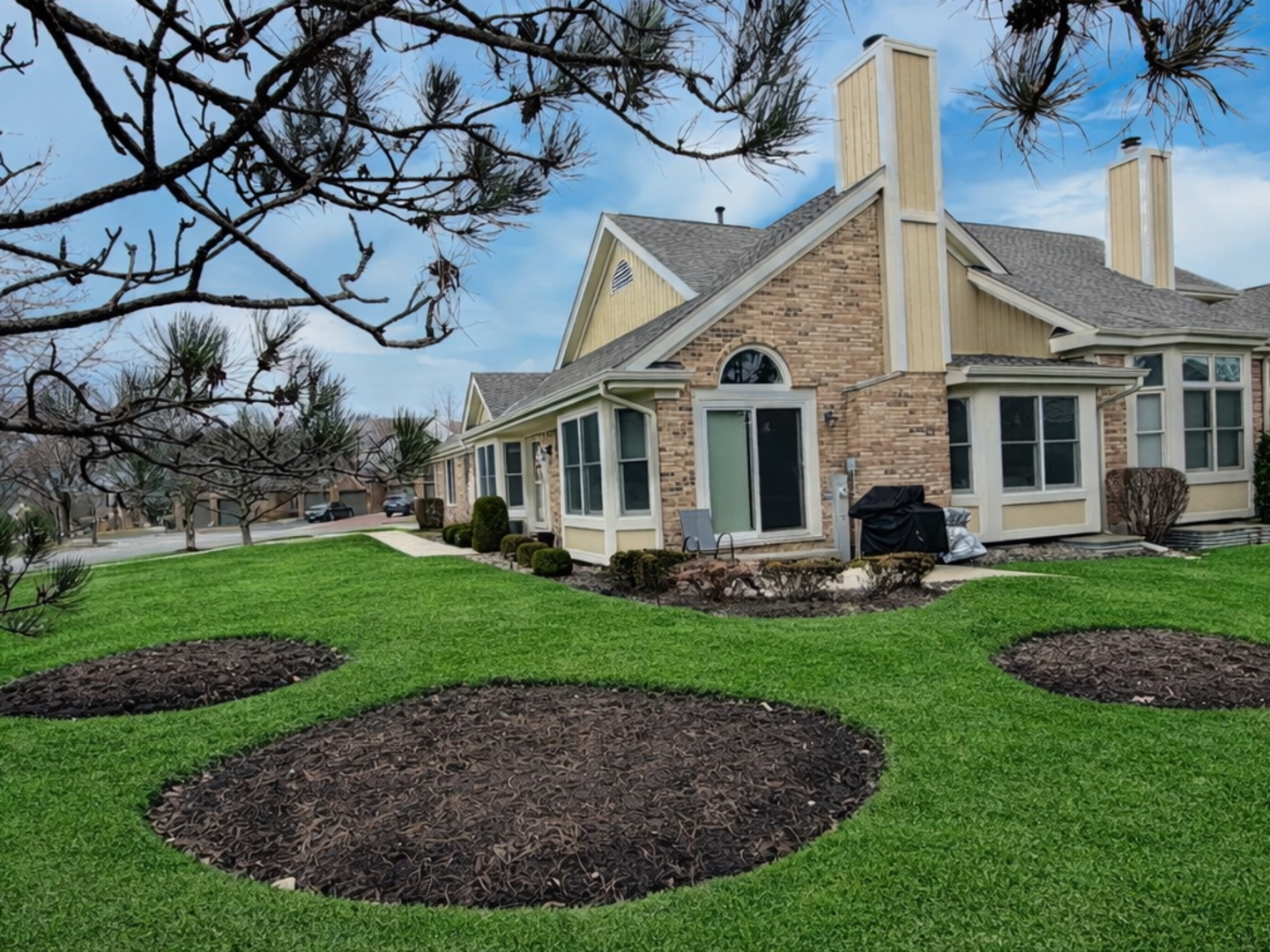 10709 Hollow Tree Road Orland Park, IL 60462 - Photo 20 of 22