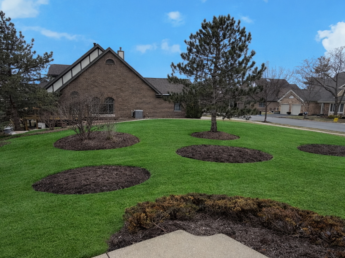 10709 Hollow Tree Road Orland Park, IL 60462 - Photo 22 of 22