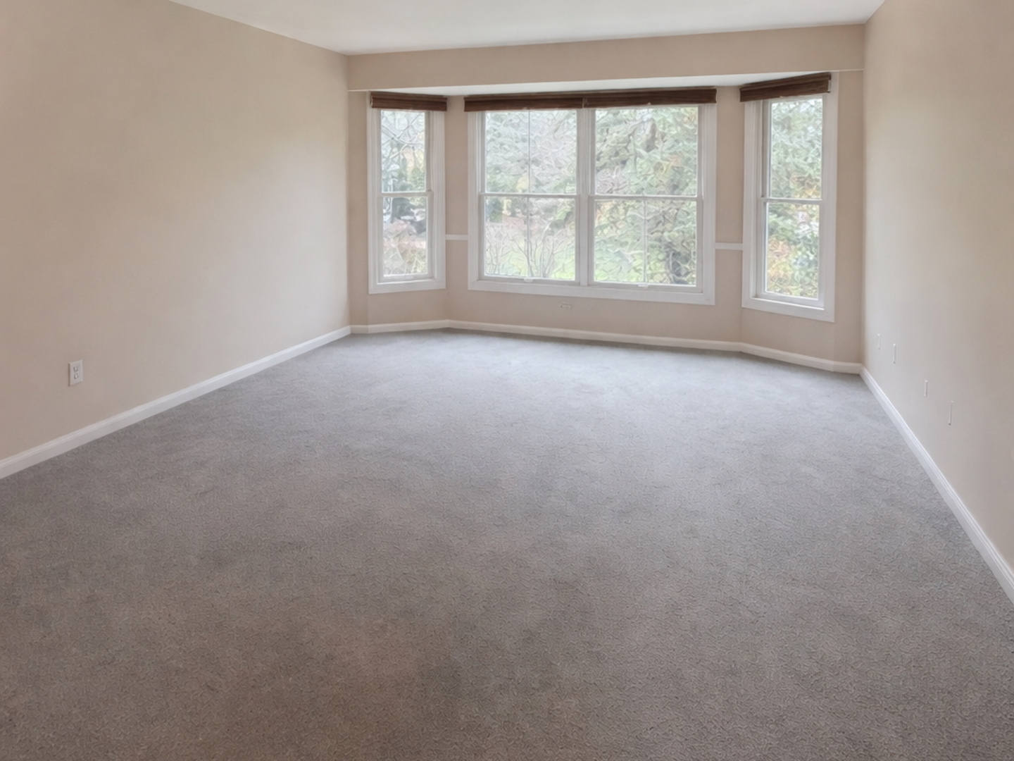 10709 Hollow Tree Road Orland Park, IL 60462 - Photo 9 of 22