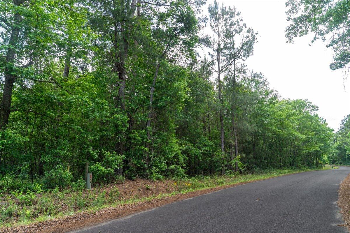 0 Deneaux Road Rowesville, SC 29133 - Photo 6 of 43 05-Deneaux-5