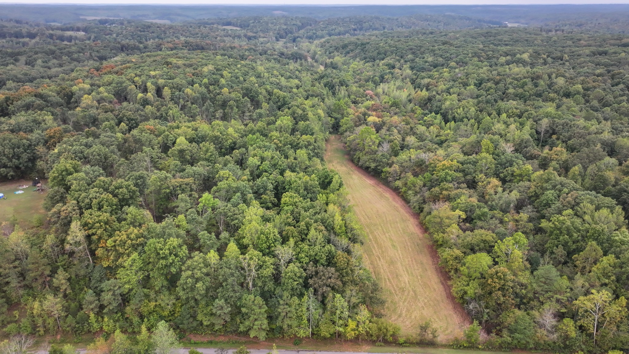 a view of a forest with a building in the background