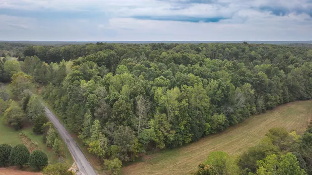 a view of a yard with an trees