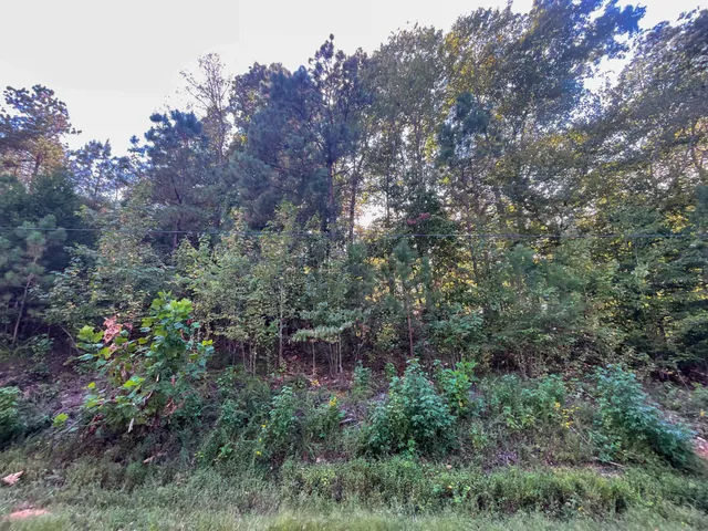 an aerial view of house with outdoor space and trees all around