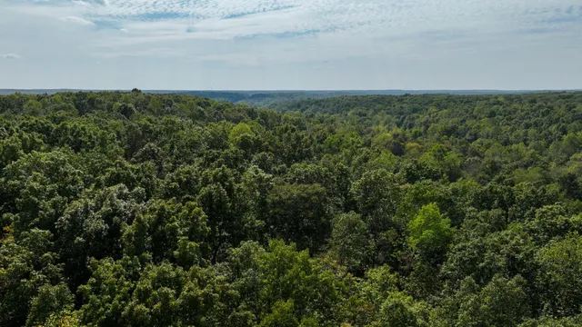 an aerial view of houses with yard