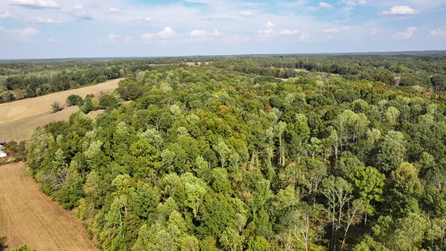 a view of a city with lush green forest