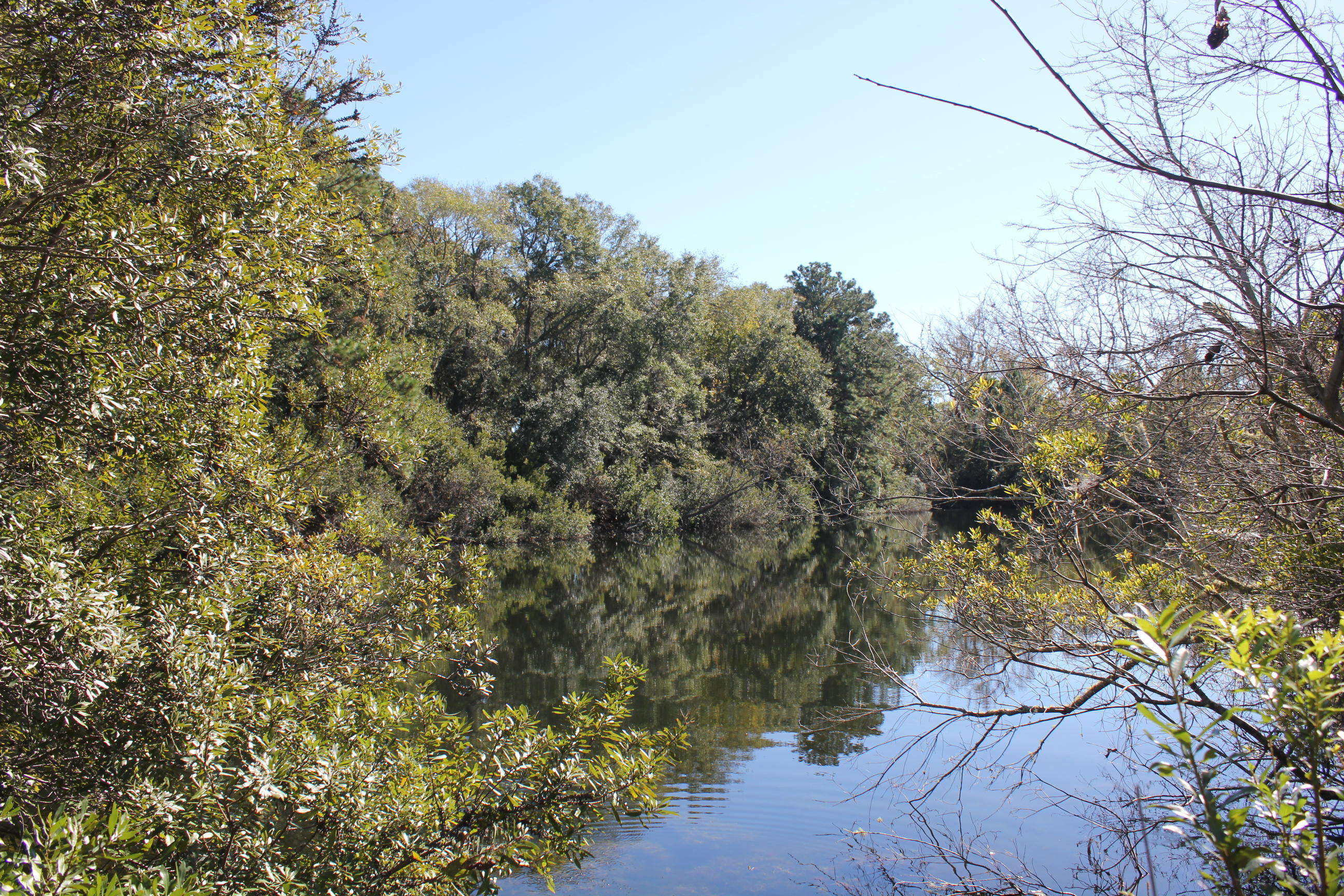 3988 River Road Johns Island, SC 29455 - Photo 2 of 22 IMG_0365