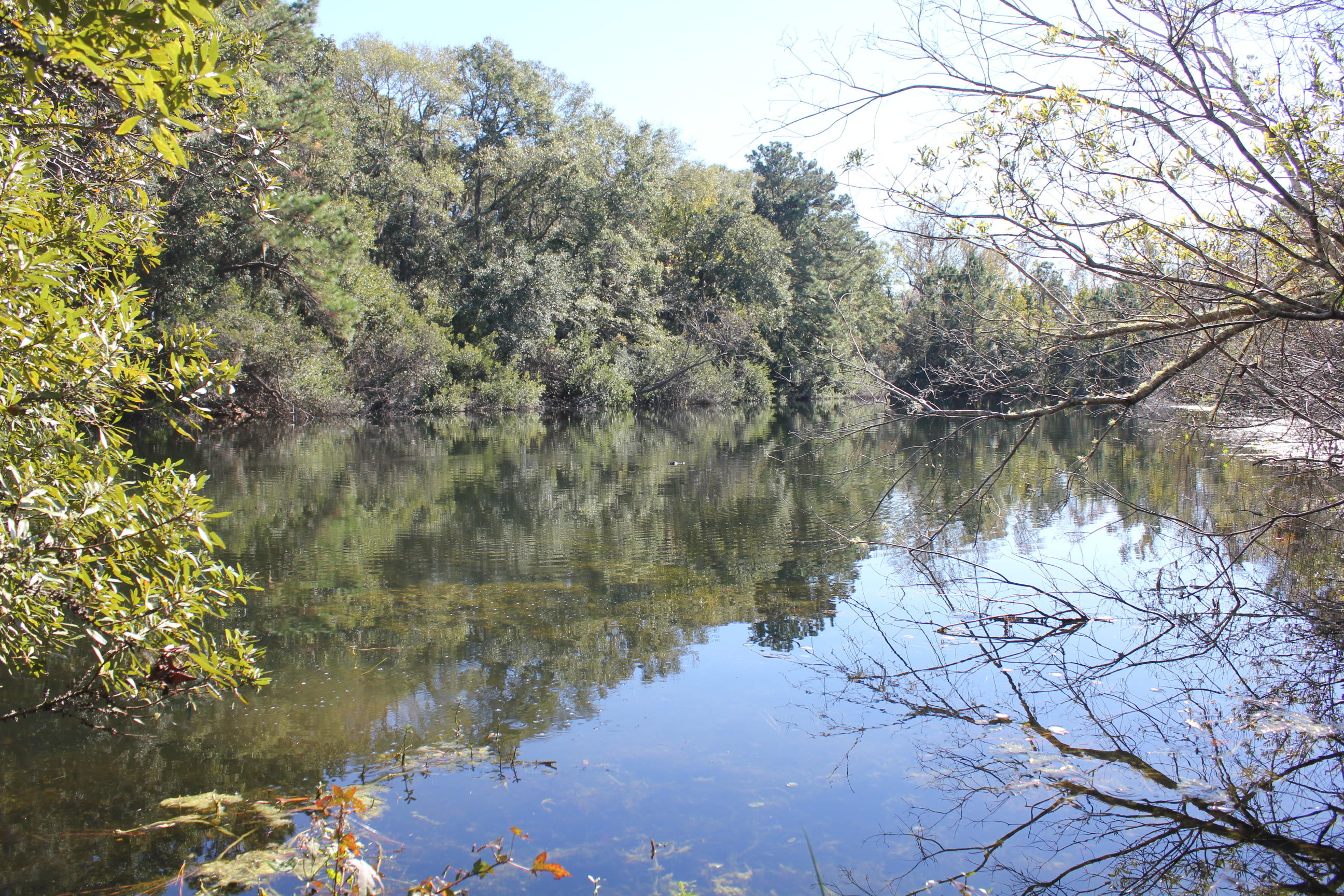 3988 River Road Johns Island, SC 29455 - Photo 11 of 22 IMG_0367