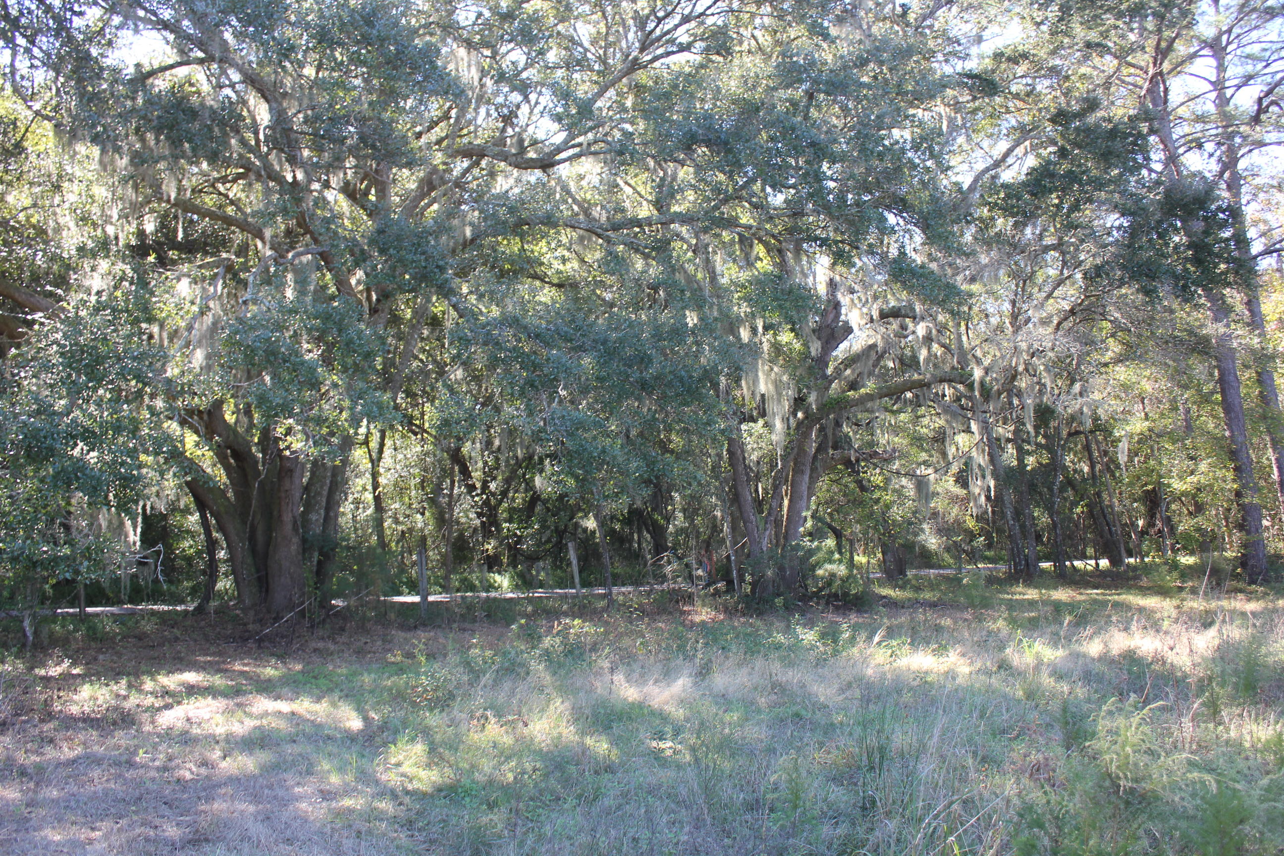 3988 River Road Johns Island, SC 29455 - Photo 12 of 22 IMG_0355