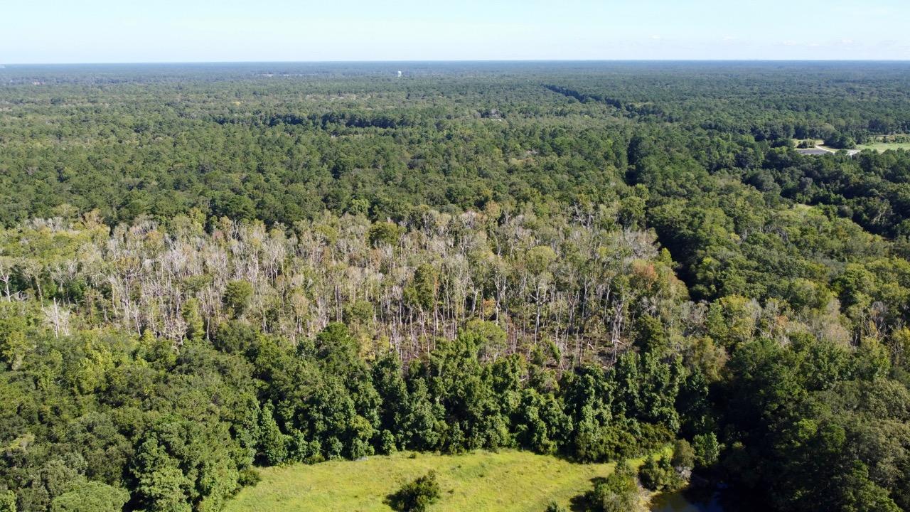 3988 River Road Johns Island, SC 29455 - Photo 18 of 22 DJI_0464