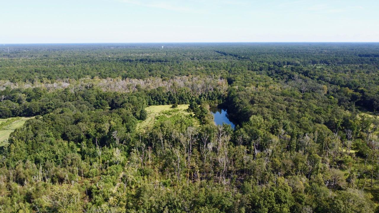 3988 River Road Johns Island, SC 29455 - Photo 19 of 22 DJI_0462