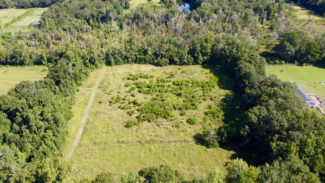 3988 River Road Johns Island, SC 29455 - Photo 20 of 22 DJI_0461