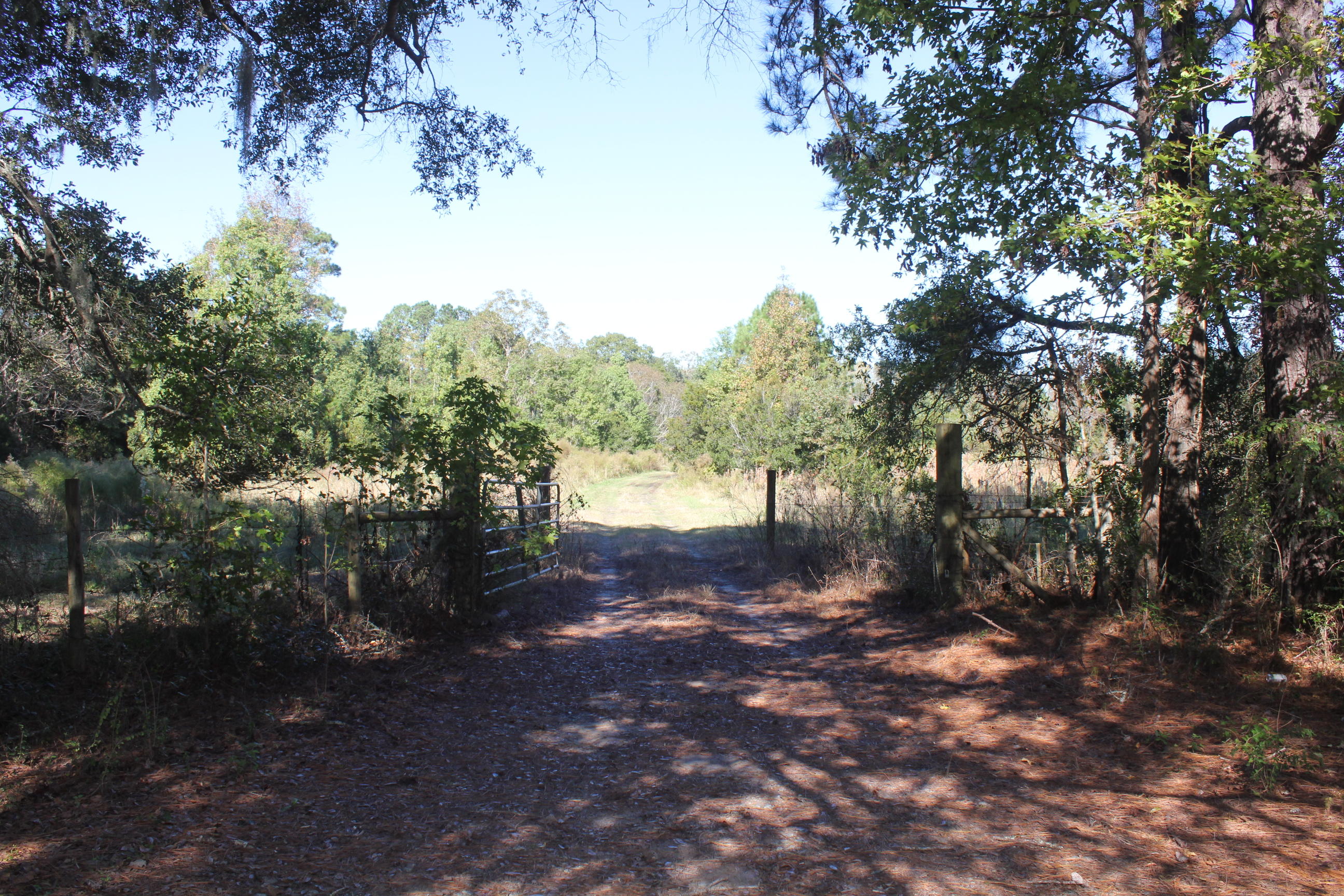 3988 River Road Johns Island, SC 29455 - Photo 5 of 22 IMG_0353