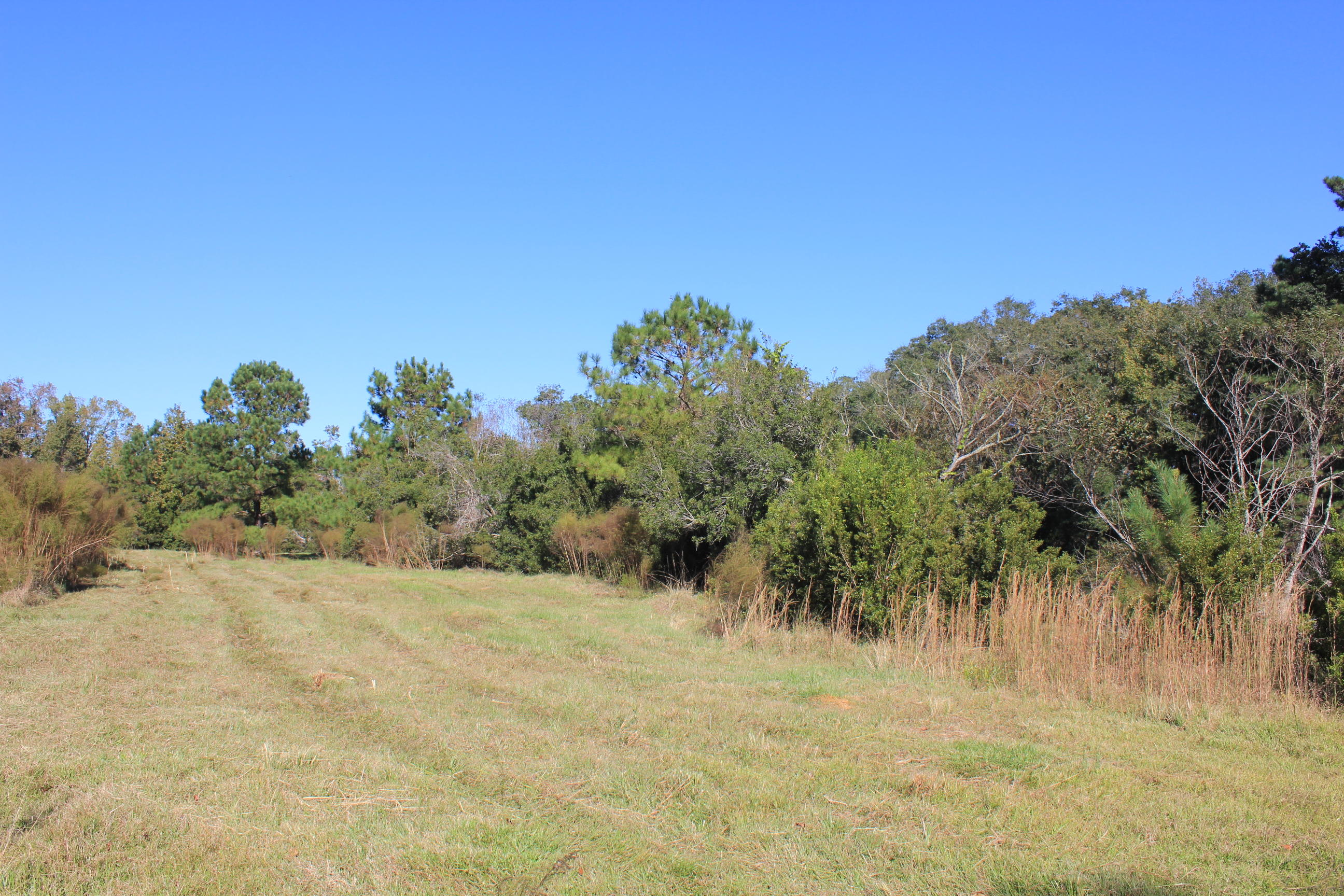 3988 River Road Johns Island, SC 29455 - Photo 6 of 22 IMG_0378