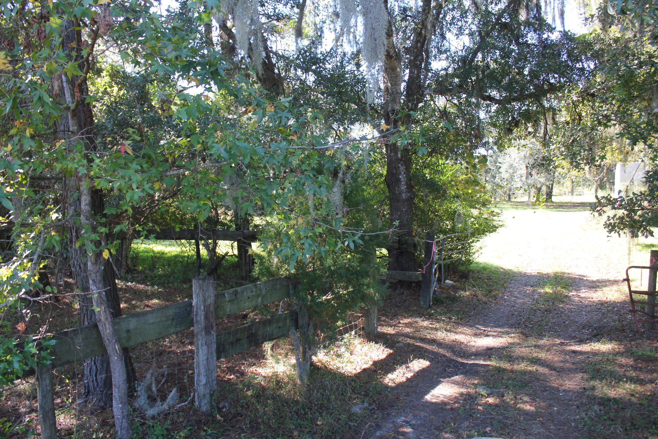 3988 River Road Johns Island, SC 29455 - Photo 9 of 22 IMG_0361