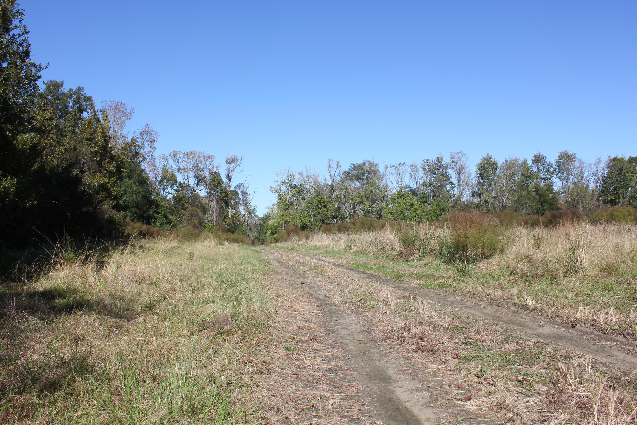 3988 River Road Johns Island, SC 29455 - Photo 10 of 22 IMG_0358