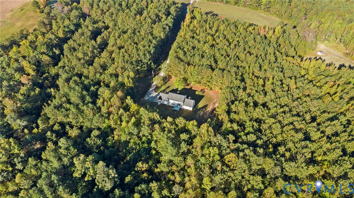16409 Courthouse Road Dinwiddie, VA 23841 - Photo 53 of 59 Gallery Image 53