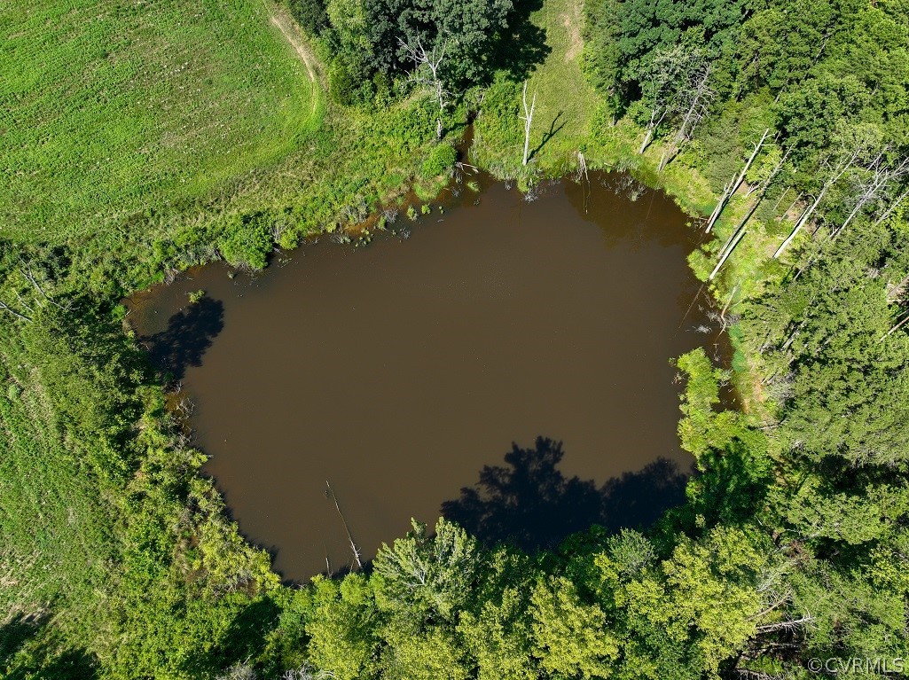 0 Marion's Trail Halifax, VA 24558 - Photo 18 of 43 Drone / aerial view
