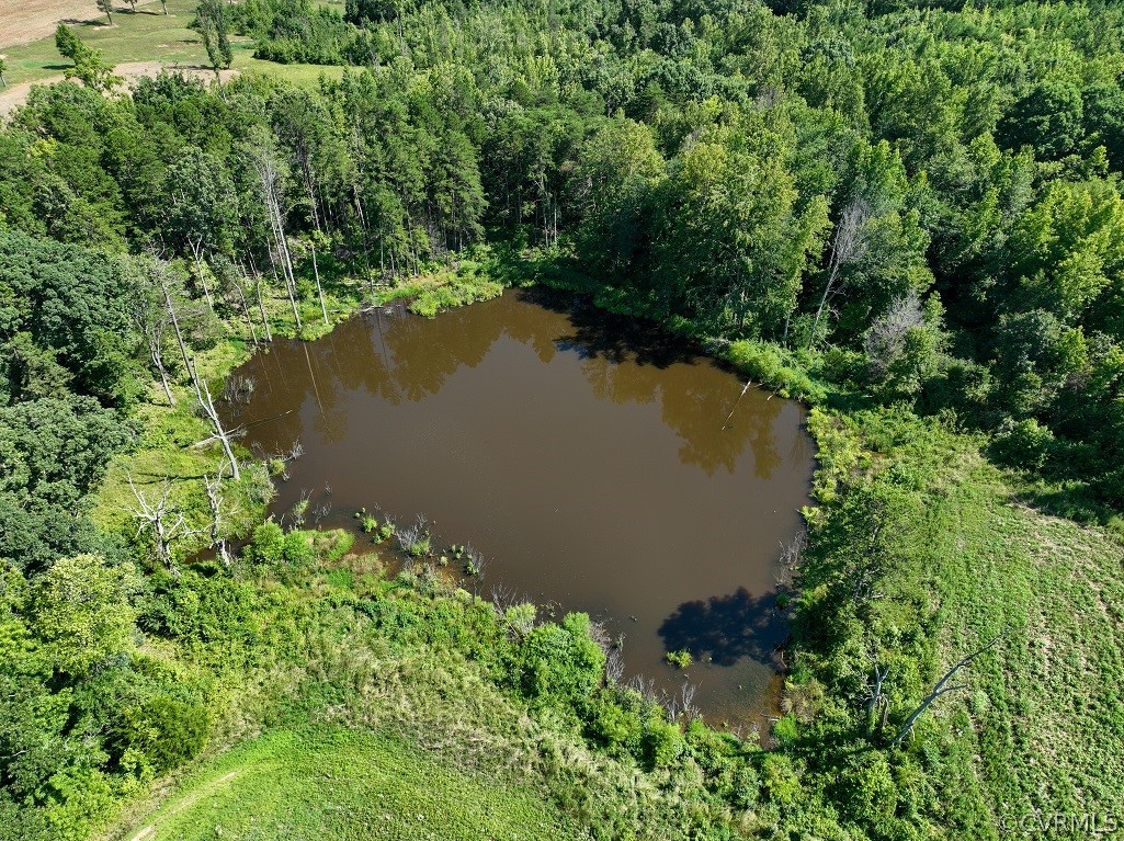 0 Marion's Trail Halifax, VA 24558 - Photo 20 of 43 Bird's eye view with a water view