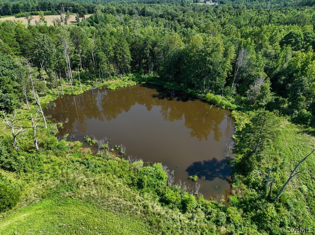 0 Marion's Trail Halifax, VA 24558 - Photo 21 of 43 Drone / aerial view with a water view