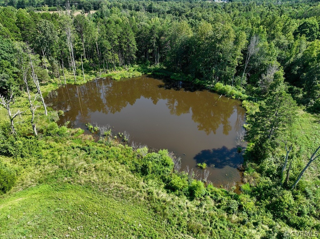 0 Marion's Trail Halifax, VA 24558 - Photo 22 of 43 Birds eye view of property featuring a water view