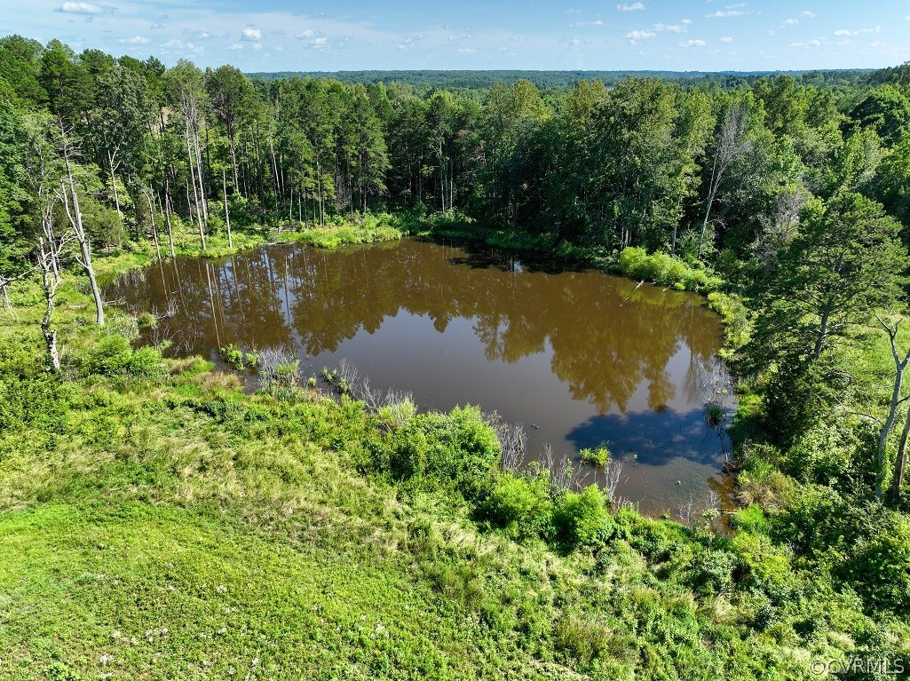 0 Marion's Trail Halifax, VA 24558 - Photo 23 of 43 Property view of water