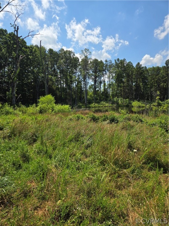 0 Marion's Trail Halifax, VA 24558 - Photo 29 of 43 View of local wilderness
