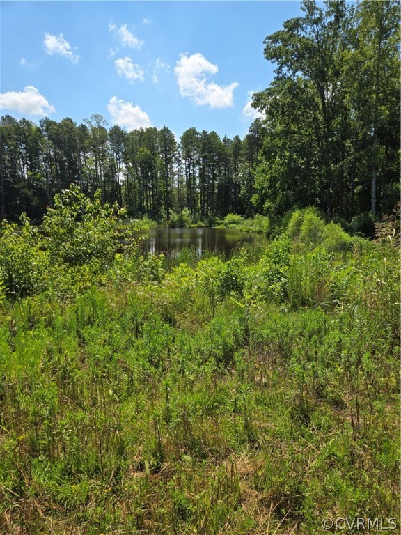 0 Marion's Trail Halifax, VA 24558 - Photo 30 of 43 View of nature featuring a water view