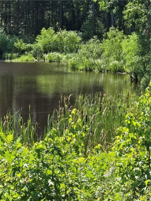 0 Marion's Trail Halifax, VA 24558 - Photo 31 of 43 View of property view of water